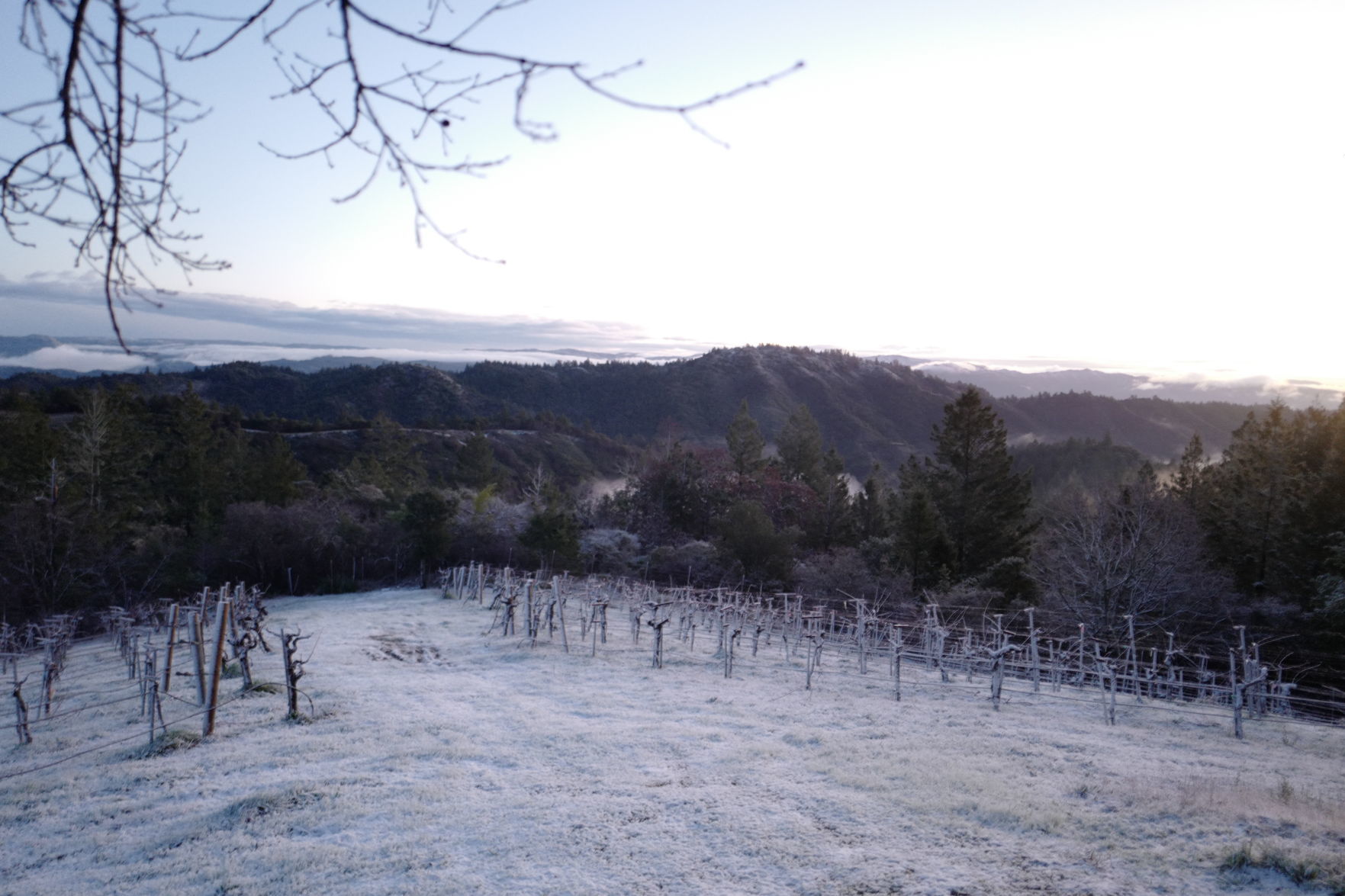 From Our Readers: Snow in Napa Valley